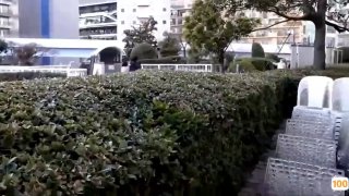 仙人球的养殖方法和注意事项无聊摸摸腿